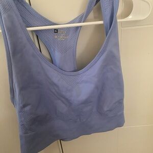 Seamless Blue Sports Bra